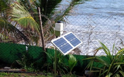 Beaching of Sargassum in Guadeloupe: a network of Cairnet micro sensors maps out the H2S and NH3 emissions