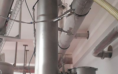 Mass flow measurement in milk production